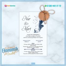 ZARFSIZ EKONOMİK MODELLER – 1000