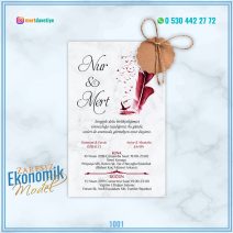 ZARFSIZ EKONOMİK MODELLER – 1001