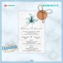 ZARFSIZ EKONOMİK MODELLER – 1002