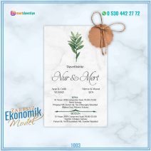 ZARFSIZ EKONOMİK MODELLER – 1003