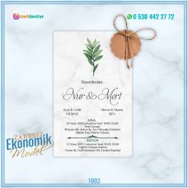 ZARFSIZ EKONOMİK MODELLER – 1003