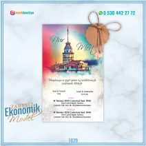 ZARFSIZ EKONOMİK MODELLER – 1020