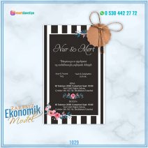 ZARFSIZ EKONOMİK MODELLER – 1029