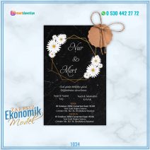 ZARFSIZ EKONOMİK MODELLER – 1034