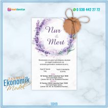 ZARFSIZ EKONOMİK MODELLER – 1049