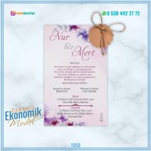 ZARFSIZ EKONOMİK MODELLER – 1058