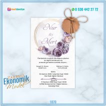 ZARFSIZ EKONOMİK MODELLER – 1070
