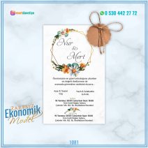 ZARFSIZ EKONOMİK MODELLER – 1081
