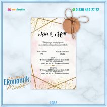 ZARFSIZ EKONOMİK MODELLER – 1082