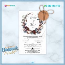 ZARFSIZ EKONOMİK MODELLER – 1087