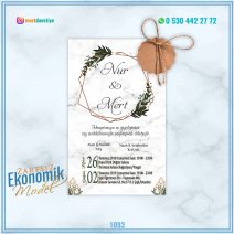 ZARFSIZ EKONOMİK MODELLER – 1093