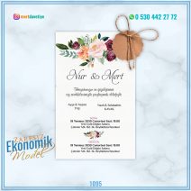 ZARFSIZ EKONOMİK MODELLER – 1095