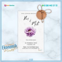 ZARFSIZ EKONOMİK MODELLER – 1122