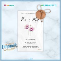 ZARFSIZ EKONOMİK MODELLER – 1123