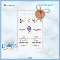 ZARFSIZ EKONOMİK MODELLER – 1124