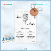ZARFSIZ EKONOMİK MODELLER – 1125