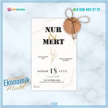 ZARFSIZ EKONOMİK MODELLER – 1132