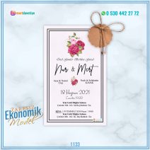 ZARFSIZ EKONOMİK MODELLER – 1133
