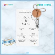 ZARFSIZ EKONOMİK MODELLER – 1134