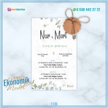 ZARFSIZ EKONOMİK MODELLER – 1135