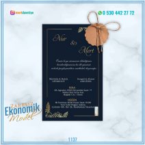 ZARFSIZ EKONOMİK MODELLER – 1137