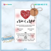 ZARFSIZ EKONOMİK MODELLER – 813