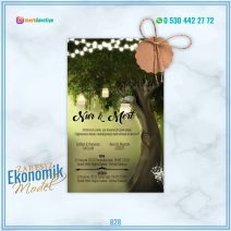 ZARFSIZ EKONOMİK MODELLER – 828