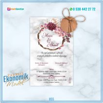 ZARFSIZ EKONOMİK MODELLER – 855