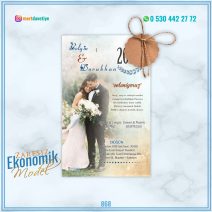ZARFSIZ EKONOMİK MODELLER – 868