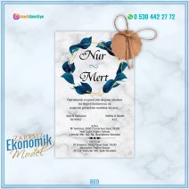 ZARFSIZ EKONOMİK MODELLER – 869