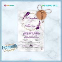 ZARFSIZ EKONOMİK MODELLER – 877