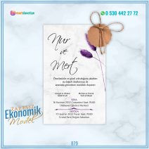 ZARFSIZ EKONOMİK MODELLER – 879