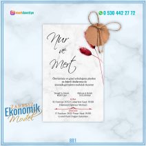 ZARFSIZ EKONOMİK MODELLER – 881