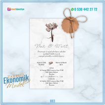 EKONOMİK ZARFSIZ MODELLER – 883