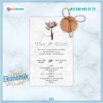 ZARFSIZ EKONOMİK MODELLER – 883