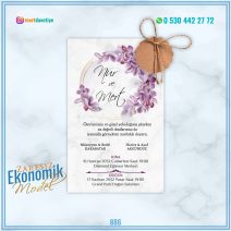 ZARFSIZ EKONOMİK MODELLER – 886