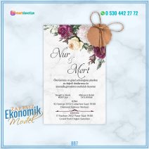 ZARFSIZ EKONOMİK MODELLER – 887