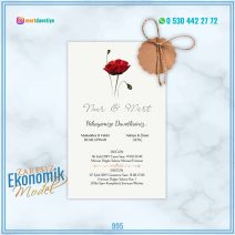 EKONOMİK ZARFSIZ MODELLER – 995