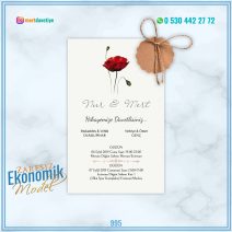 ZARFSIZ EKONOMİK MODELLER – 995